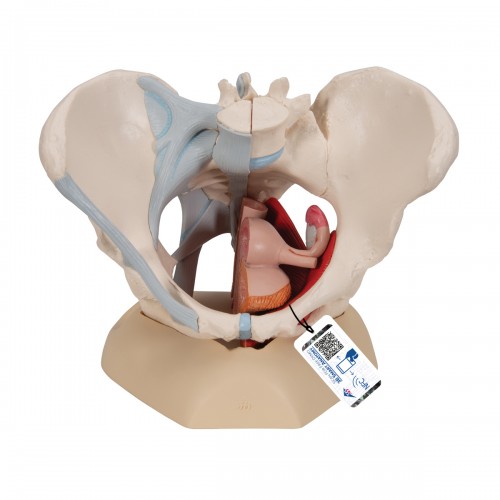efbf911e4d42b6f6dda9a3793772ab68_1633397947_87.jpg