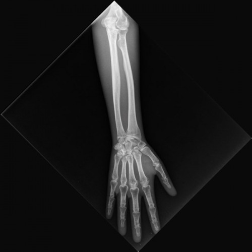 f78c0dfef411e7e343151a7d650814b0_1663142344_9.jpg